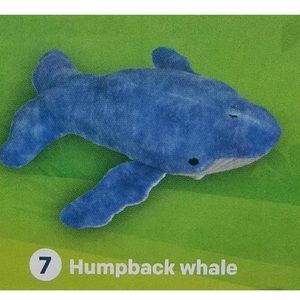 National Geographic Kids #7 Humpback Whale
